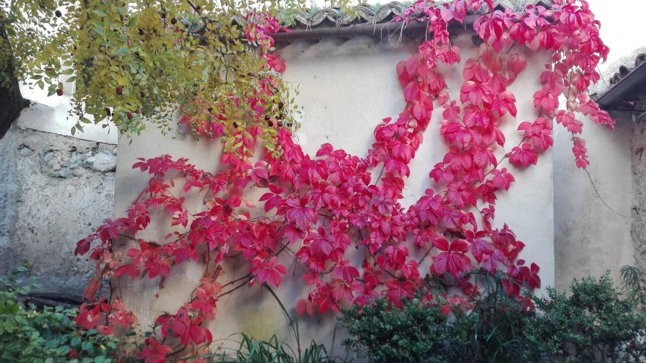 コゼンツァ L'Albero Di Giuggioleヴィラ エクステリア 写真